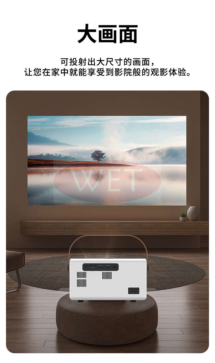 详情(1)_04.jpg